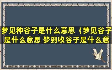 梦见种谷子是什么意思（梦见谷子是什么意思 梦到收谷子是什么意思）